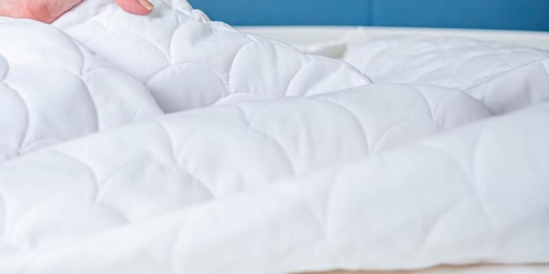 What is the Best Way to Kill Bed Bugs?