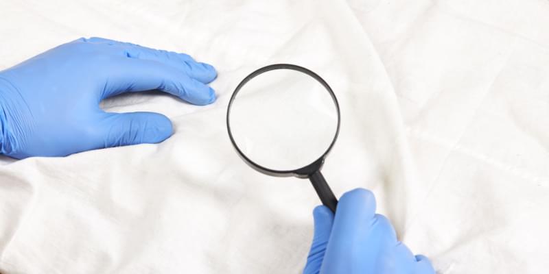 Is Indianapolis the Worst City for Bed Bugs?