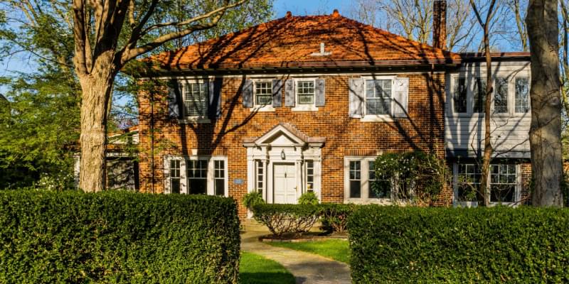 Termite Control and Prevention in Indianapolis