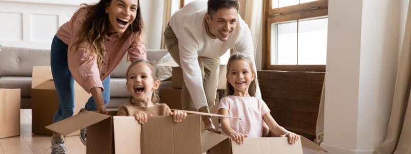 How Do I Know If I Have a Spider Infestation?